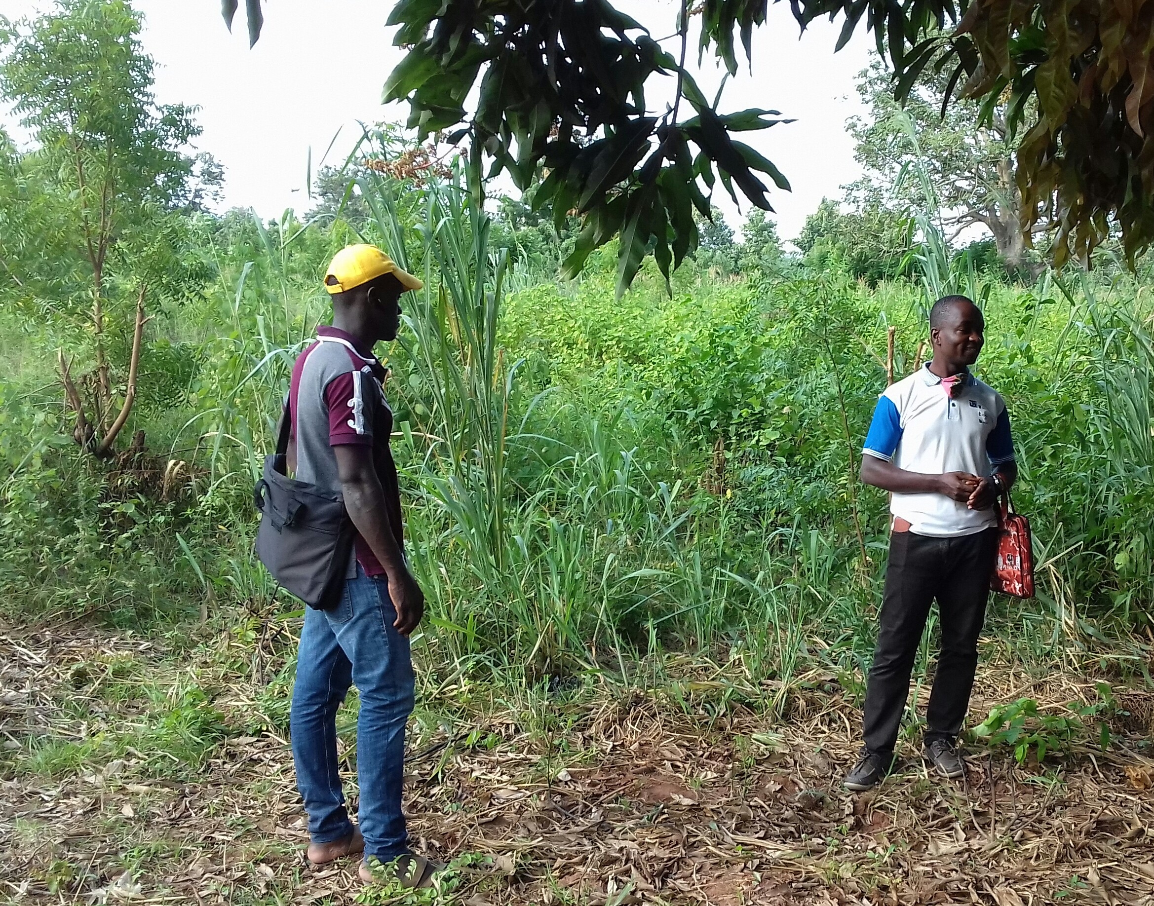 Visite de terrain