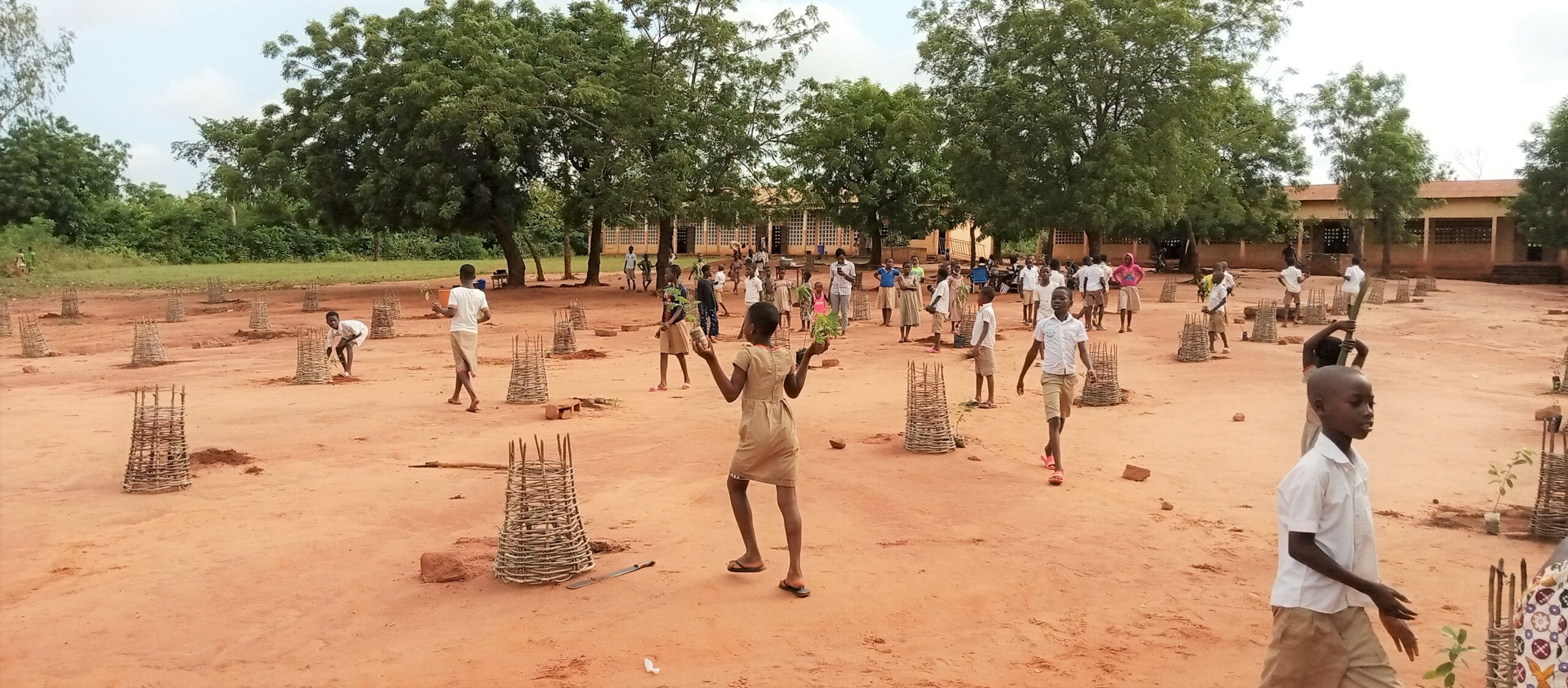 La journée de l’arbre à l’Ecole Catholique de Assomé