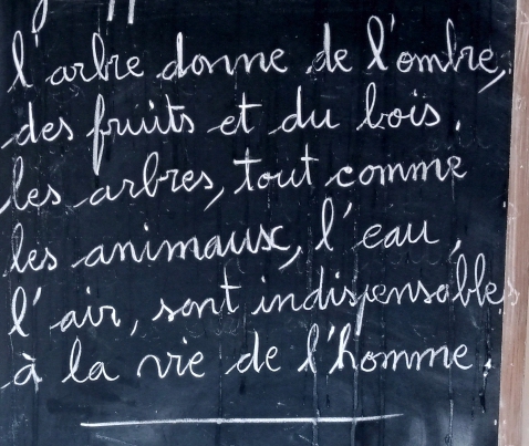 Pour un voyage entre la France et le Togo